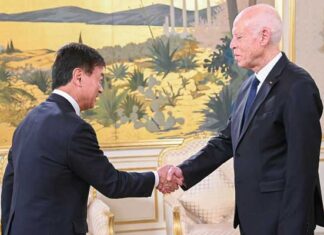 Tunisie-Japon : Saïed Réaffirme la Volonté de Consolider la Coopération Bilatérale après la TICAD
