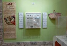 Kesra : le Musée du Patrimoine Traditionnel rénové pour préserver la mémoire régionale