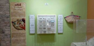 Kesra : le Musée du Patrimoine Traditionnel rénové pour préserver la mémoire régionale