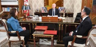 Kaïs Saïed appelle à soutenir les agriculteurs et à mieux valoriser la récolte d’huile d’olive