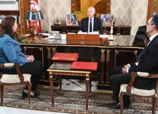 Kaïs Saïed appelle à soutenir les agriculteurs et à mieux valoriser la récolte d’huile d’olive