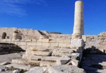 Site de Zama : appel à consultation de l’AMVPPC pour un film documentaire