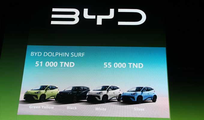 BYD Dolphin Surf