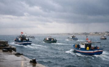 NEMO HOUT : 18,6 millions de dinars pour soutenir les communautés côtières tunisiennes Météo - Pêcheurs
