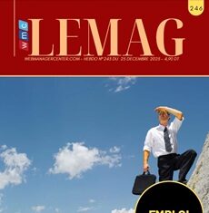WMC LEMAG 246 : Code du travail, PME, investissement, les effets domino d’une réforme brutale WMC LEMAG 246