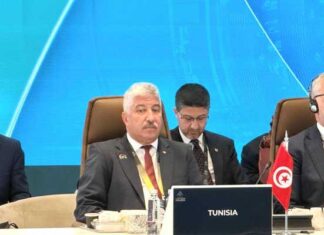 Tunisie–Sénégal : mise à jour imminente du protocole de coopération sur l’emploi et l’insertion professionnelle