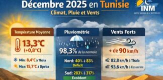 Climat en Tunisie : décembre 2025 marqué par un excédent thermique et des pluies contrastées