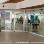 “Hammamet, Mon Amour…” : Jo Ann Morning expose 30 œuvres à la Galerie Diwan Al-Khayal