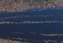 Kef : des mesures d’urgence après le déversement de margines dans l’oued Sarrat