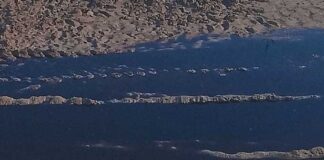 Kef : des mesures d’urgence après le déversement de margines dans l’oued Sarrat