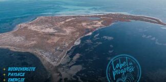 Biodiversité et énergie : la Petite Kuriat distinguée par le label SMILO – In Progress