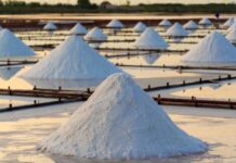 Médenine : attribution d’une concession minière de sel à la société MARE ALB