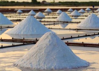 Médenine : attribution d’une concession minière de sel à la société MARE ALB