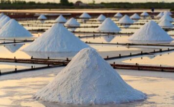 Médenine : attribution d’une concession minière de sel à la société MARE ALB