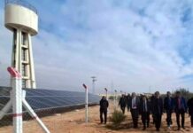 Médenine : la zone irriguée de Tabarguit équipée en énergie solaire pour réduire les coûts agricoles