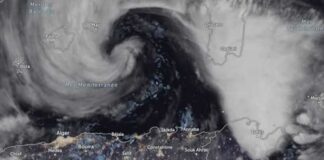 Tempête « Harry » : Greenpeace MENA dénonce l’injustice climatique après les inondations en Tunisie