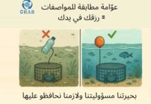Djerba : un projet pilote pour la collecte et le recyclage des casiers de pêche au crabe bleu dans la lagune de Boughrara