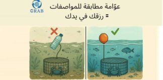 Djerba : un projet pilote pour la collecte et le recyclage des casiers de pêche au crabe bleu dans la lagune de Boughrara
