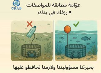 Djerba : un projet pilote pour la collecte et le recyclage des casiers de pêche au crabe bleu dans la lagune de Boughrara