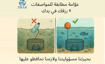 Djerba : un projet pilote pour la collecte et le recyclage des casiers de pêche au crabe bleu dans la lagune de Boughrara