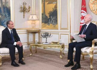 Kaïs Saïed reçoit le chef de la diplomatie égyptienne et réaffirme le soutien à une solution libyo-libyenne