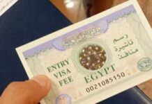 Entrée en Tunisie : assouplissement des visas pour chercheurs, médecins et hauts fonctionnaires égyptiens