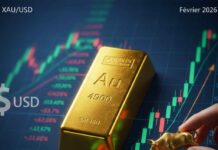 L’Or à 4 900 $ : Le retour en force du “Dip Buying” ? Graphique technique du cours de l'or XAU/USD montrant un rebond sur le support des 4 900 dollars en février 2026