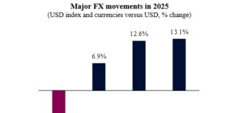À quoi s’attendre pour le dollar américain (USD) dans les mois à venir ? QNB Economics 8 Février 2026