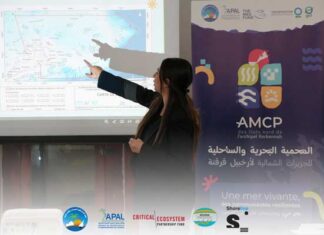 Kerkennah : lancement du projet MARHABA pour restaurer les habitats marins et protéger la biodiversité