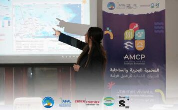 Kerkennah : lancement du projet MARHABA pour restaurer les habitats marins et protéger la biodiversité