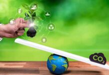 Empreinte carbone et marchés internationaux : initiative de la Bourse de Tunis pour une économie verte