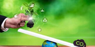 Empreinte carbone et marchés internationaux : initiative de la Bourse de Tunis pour une économie verte