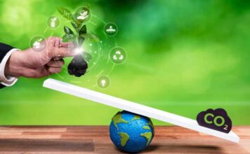 Finance Durable : Le CBF publie le premier guide de décarbonation pour les banques tunisiennes Carbone