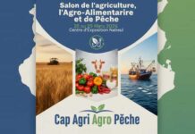 Cap Bon Agri Agro et Pêche : un nouveau salon pour valoriser le poids agricole de Nabeul