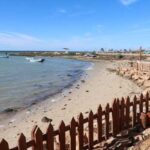 Changement climatique : une ceinture bleue pour protéger 340 km de côtes tunisiennes