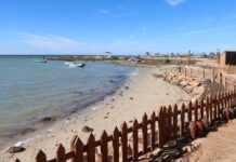 Changement climatique : une ceinture bleue pour protéger 340 km de côtes tunisiennes