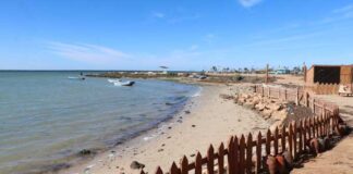 Changement climatique : une ceinture bleue pour protéger 340 km de côtes tunisiennes