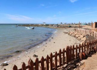 Changement climatique : une ceinture bleue pour protéger 340 km de côtes tunisiennes