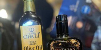 Huile d’olive tunisienne : 46 médailles d’or et 5 d’argent au Concours « Cléopâtre » au Caire