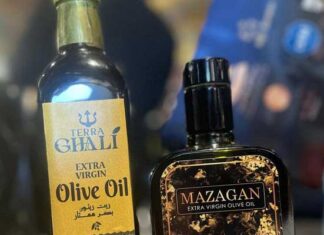 Huile d’olive tunisienne : 46 médailles d’or et 5 d’argent au Concours « Cléopâtre » au Caire