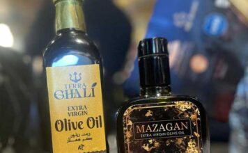 Huile d’olive tunisienne : 46 médailles d’or et 5 d’argent au Concours « Cléopâtre » au Caire