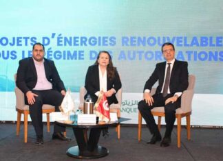 Solaire photovoltaïque : 287 MW autorisés pour les PME, cap sur 35 % d’énergies renouvelables d’ici 2030