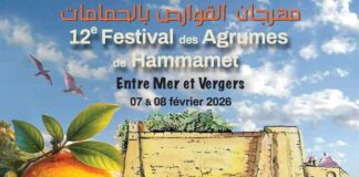 Hammamet : la 12ᵉ édition du festival des agrumes valorise tourisme et agriculture