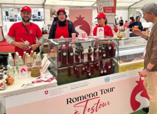 Béja : le projet « Romena Tour à Testour » valorise la grenade et ouvre de nouvelles perspectives touristiques