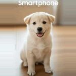 Bientôt disponible : Vivez une expérience Samsung Galaxy Camera fluide pour une création de contenu facile