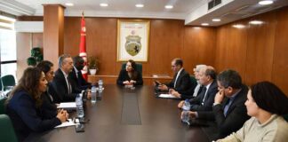 Transition énergétique : la Tunisie et la Banque mondiale accélèrent les projets stratégiques