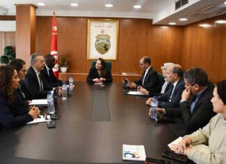 Transition énergétique : la Tunisie et la Banque mondiale accélèrent les projets stratégiques