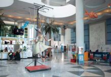 Les JAMC célèbrent un demi-siècle de marionnette tunisienne à la Cité de la Culture