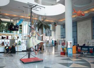 Les JAMC célèbrent un demi-siècle de marionnette tunisienne à la Cité de la Culture