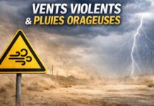Météo Tunisie : vents forts jusqu’à 80 km/h et pluies orageuses prévues mercredi